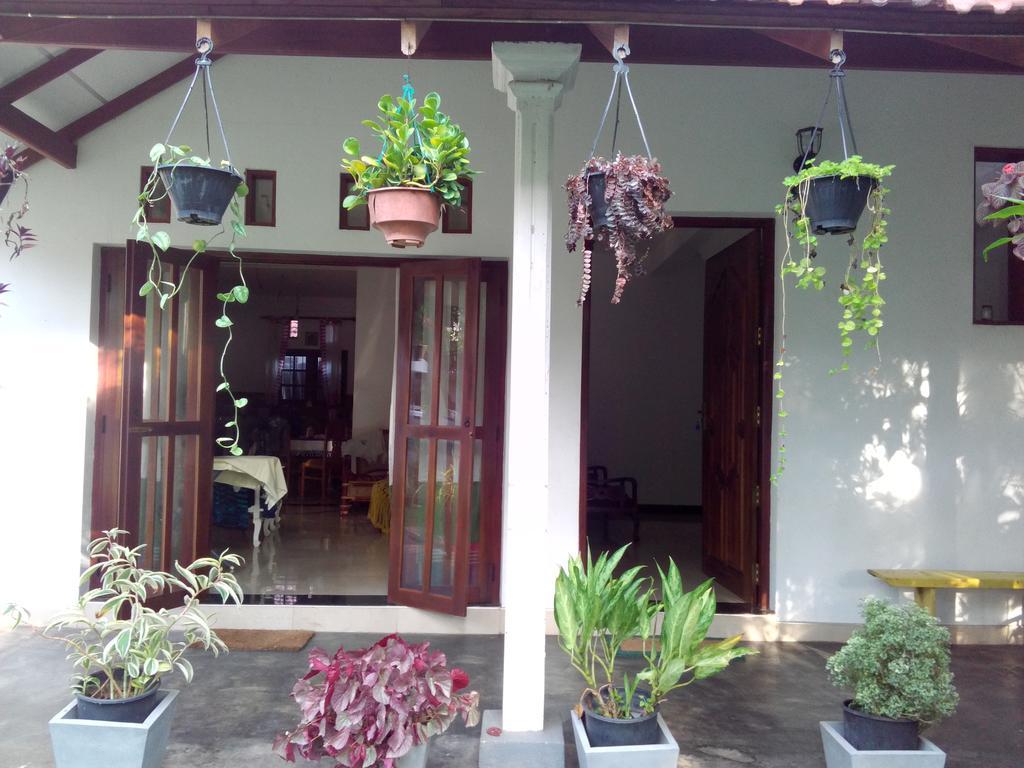 Chelli Homestay Negombo Exterior foto